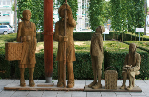 Hopfengarten am Deutschen Hopfenmuseum Hopfengarten am Deutschen Hopfenmuseum