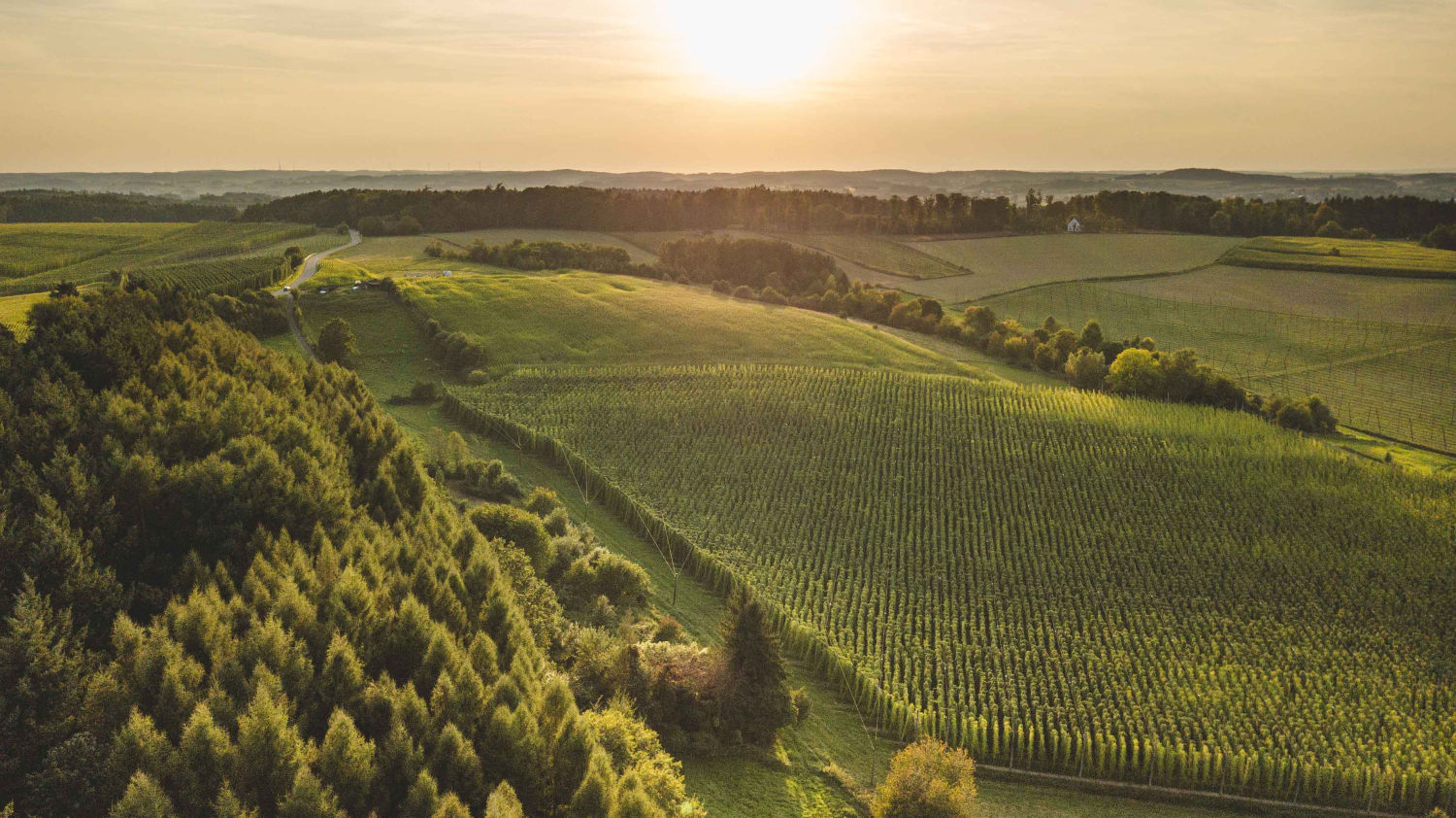 Aerial view of the Hallertau landscape