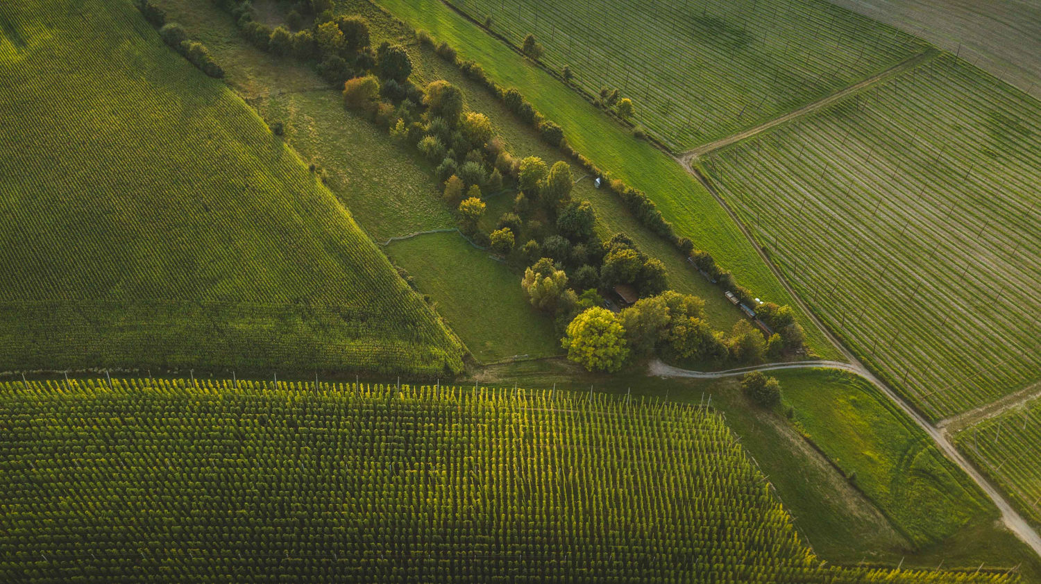 Aerial view of the Hallertau landscape