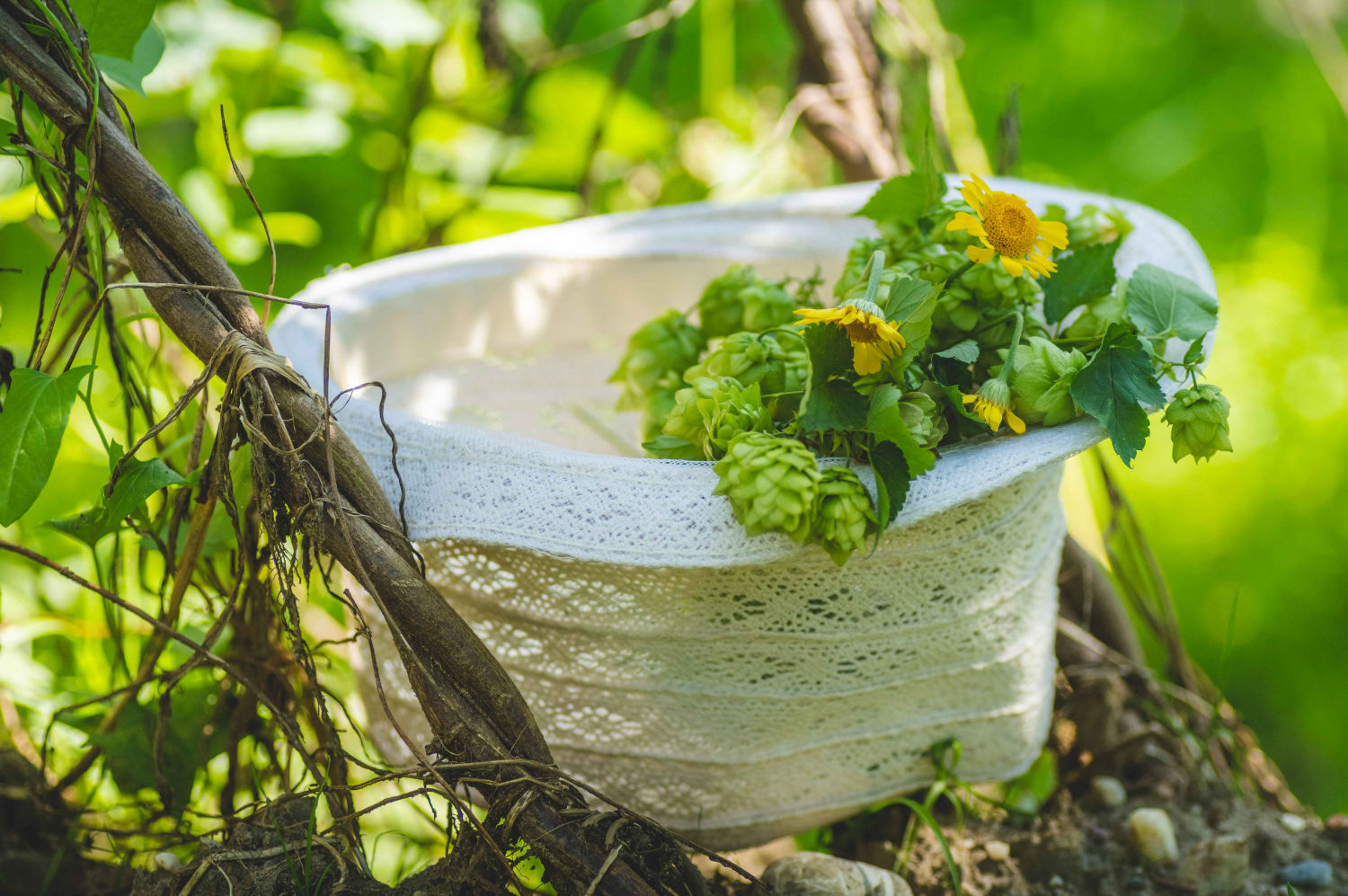 Straw hat with hop cones