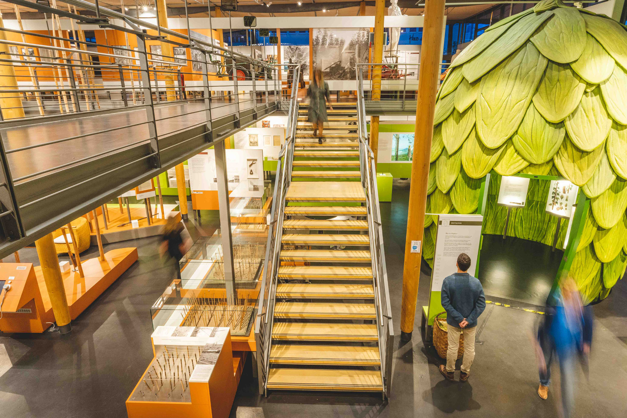 Exhibition room of the German Hop Museum