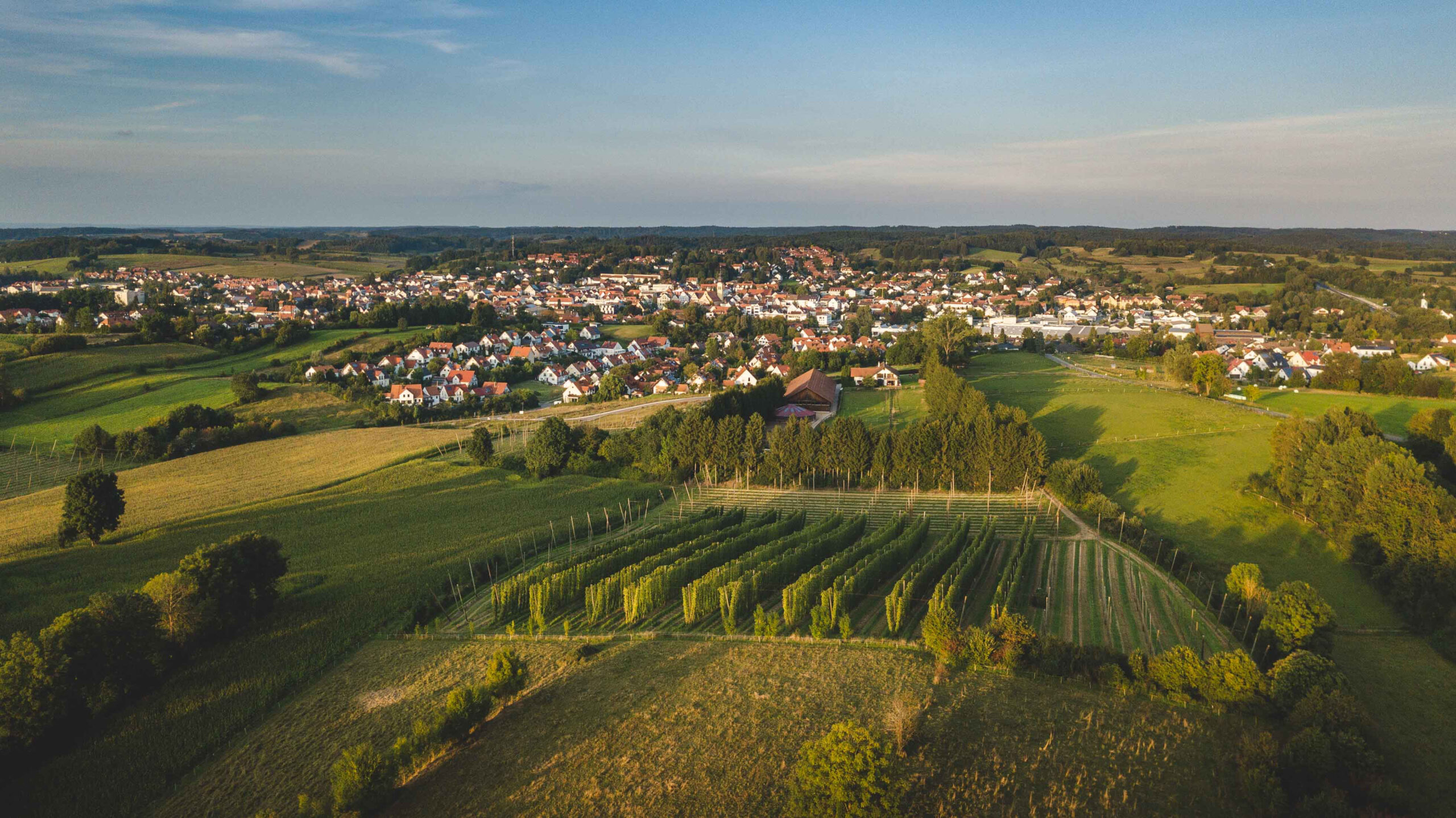 Dieses Foto ist von einem Flugzeug aus aufgenommen. Sie sehen einen Ort in der Hallertau.