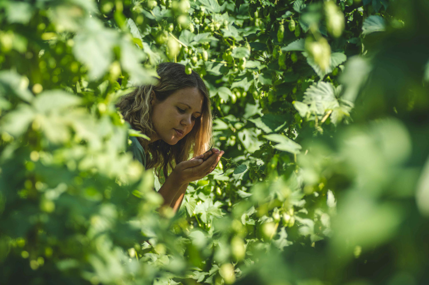 Diese junge Frau steht in einem Hopfen-Garten.