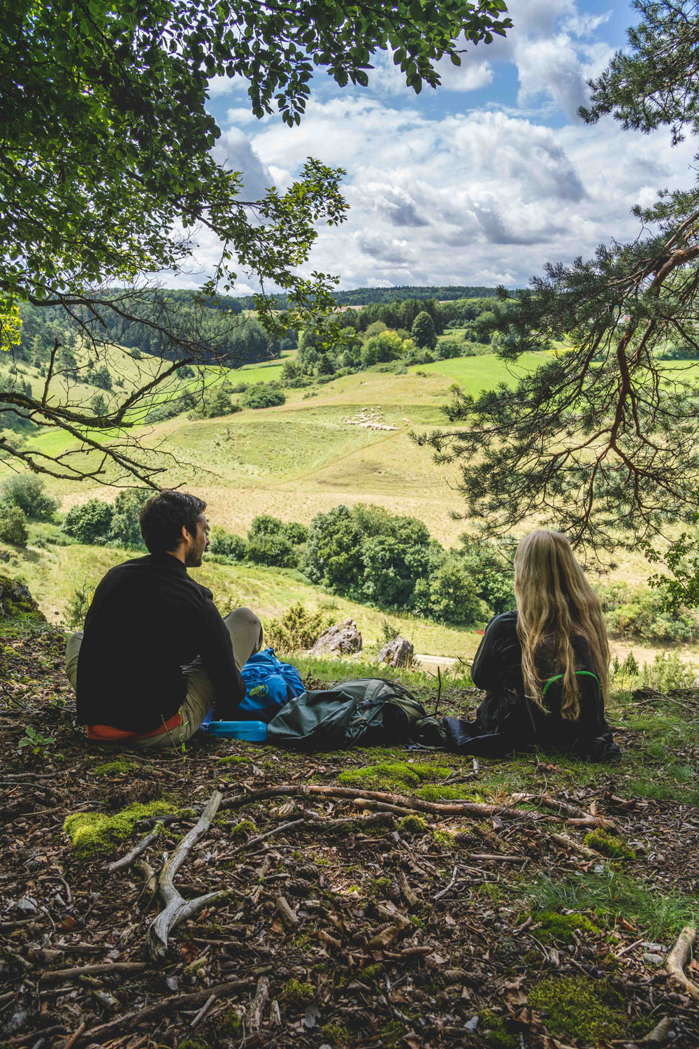 Blick über die Wacholderheide Altmannstein