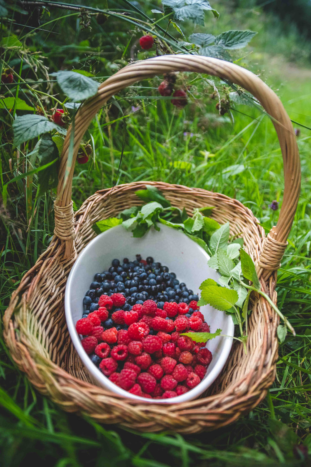 Korb mit Waldbeeren